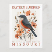 Eastern Bluebird Bird of Missouri Verenigde Staten Briefkaart (Voorkant)