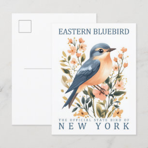 Eastern Bluebird Bird of New York Verenigde Staten Briefkaart