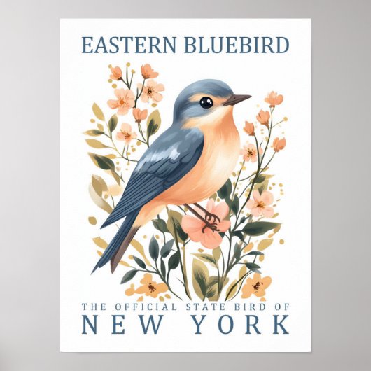 Eastern Bluebird Bird of New York Verenigde Staten Poster (Voorkant)