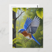 Eastern Bluebird Briefkaart (Voorkant / Achterkant)