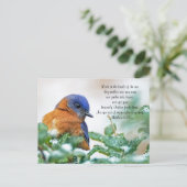 Eastern Bluebird Briefkaart Matthew 6:26 (Staand voorkant)