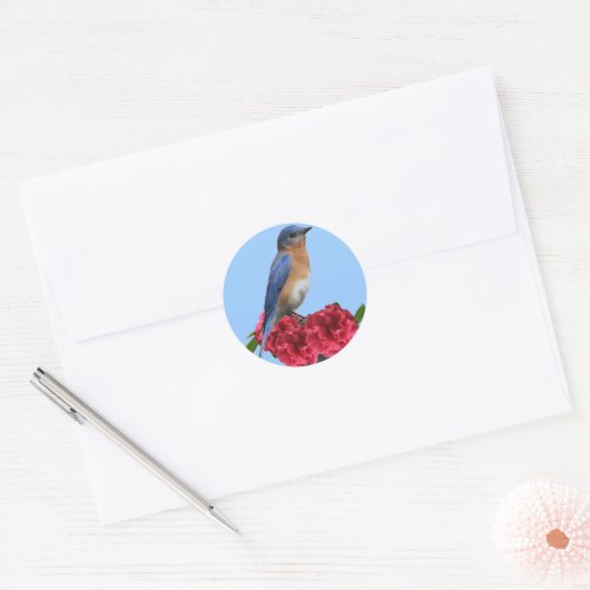 Eastern Bluebird Camellia Sticker (Envelop)