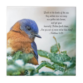 Eastern Bluebird Ceramic Photo Tile Matthew 6:26 Tegeltje