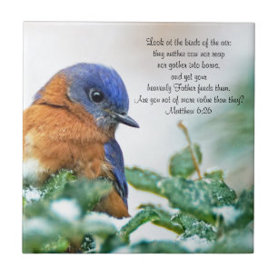 Eastern Bluebird Ceramic Photo Tile Matthew 6:26 Tegeltje