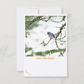 Eastern Bluebird/Champagne Glass Save the Date ~ (Voorkant)