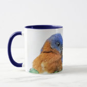 Eastern Bluebird Coffee Mok Matthew 6:26 (Links)