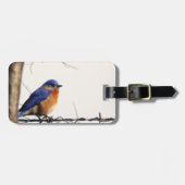 Eastern Bluebird Foto Bagagelabel (Voorkant horizontaal)