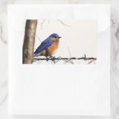 Eastern Bluebird Foto Rechthoekige Sticker (Tas)