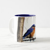 Eastern Bluebird Foto Tweekleurige Koffiemok (Voorkant links)