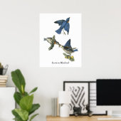 Eastern Bluebird, John Audubon Poster (Thuiskantoor)