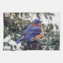 Eastern Bluebird Kitchen Towel