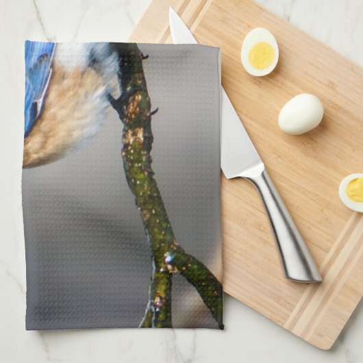 Eastern Bluebird Kitchen Towel Theedoek (Quarter Fold)