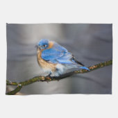 Eastern Bluebird Kitchen Towel Theedoek (Horizontaal)