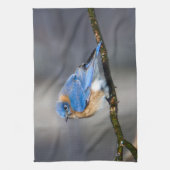 Eastern Bluebird Kitchen Towel Theedoek (Verticaal)