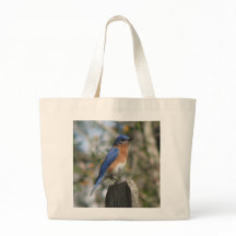 Eastern Bluebird Male Bag