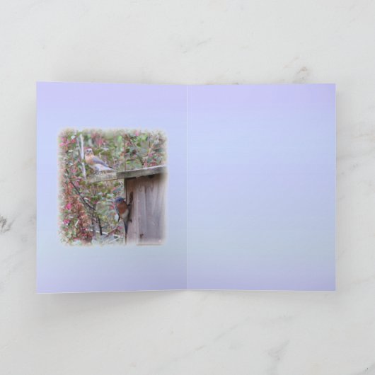 Eastern Bluebird Male Kaart (Binnen)