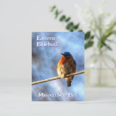 Eastern Bluebird Missouri State Bird Fotografie Briefkaart (Staand voorkant)