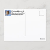 Eastern Bluebird Missouri State Bird Fotografie Briefkaart (Achterkant)