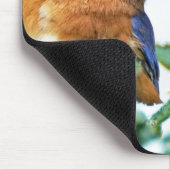 Eastern Bluebird Mousepad Matthew 6:26 Muismat (Hoek)