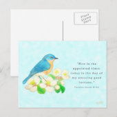 Eastern Bluebird - My Amazing Good Fortune Briefkaart (Voorkant / Achterkant)