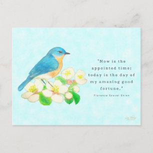 Eastern Bluebird - My Amazing Good Fortune Briefkaart
