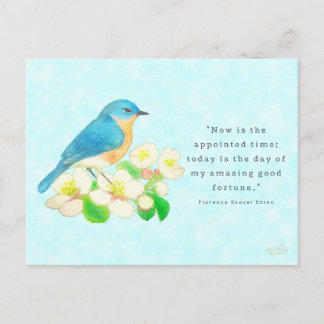 Eastern Bluebird - My Amazing Good Fortune Briefkaart