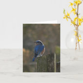 Eastern Bluebird Note-Kaart Kaart (Gele Bloem)
