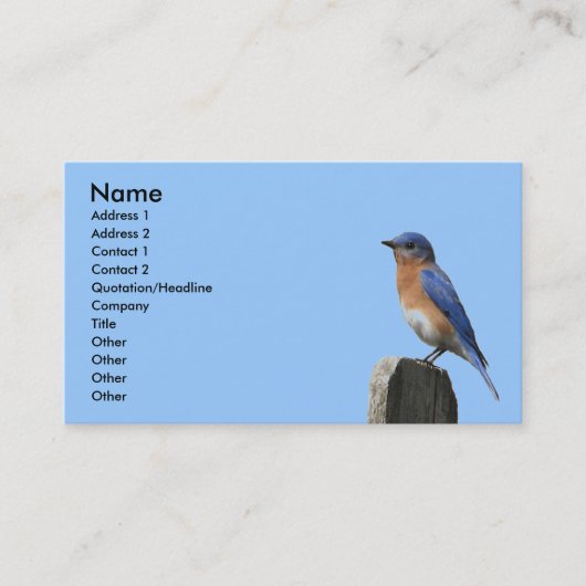 Eastern Bluebird Profile Card Visitekaartje (Voorkant)