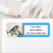 Eastern Bluebird Retouradreslabels Etiket (Insitu)