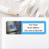 Eastern Bluebird Retouradreslabels Etiket (Insitu)