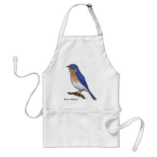 EASTERN BLUEBIRD STANDAARD SCHORT