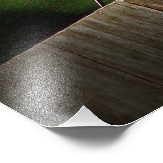 Eastern Bluebird Wall Decor Foto Afdruk (Hoek)