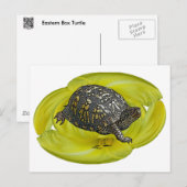 Eastern Box Turtle Coordinating Items Briefkaart (Voorkant / Achterkant)