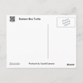 Eastern Box Turtle Coordinating Items Briefkaart (Achterkant)