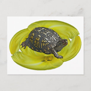 Eastern Box Turtle Coordinating Items Briefkaart