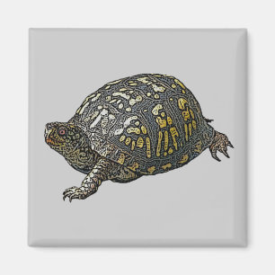 Eastern Box Turtle Coordinating Items Magneet