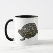Eastern Box Turtle Coordinating Items Mok (Links)