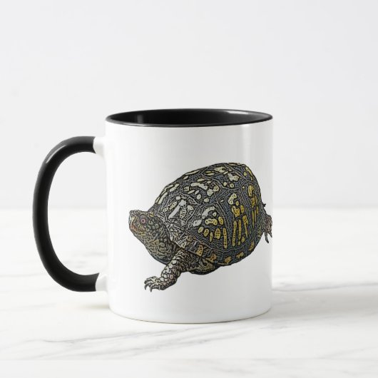 Eastern Box Turtle Coordinating Items Mok (Links)