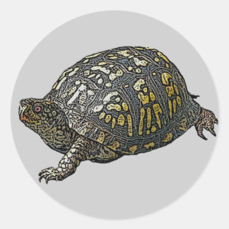 Eastern Box Turtle Coordinating Items Ronde Sticker
