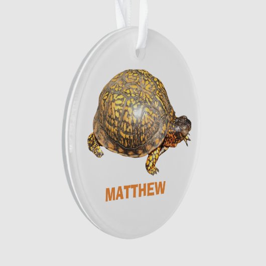 Eastern Box Turtle Foto gepersonaliseerd Ornament (voorkant)