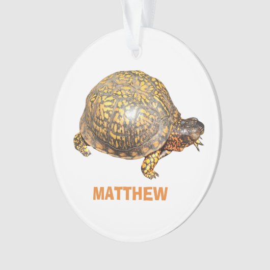 Eastern Box Turtle Foto gepersonaliseerd Ornament (voorkant)