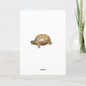 Eastern Box Turtle Funny Birthday Kaart (Achterkant)