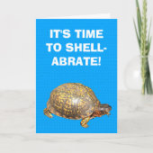 Eastern Box Turtle Funny Birthday Kaart (Voorkant)
