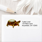 Eastern Box Turtle Label (Insitu)