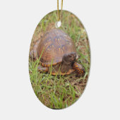 Eastern Box Turtle (North Carolina en Tennessee) Keramisch Ornament (Links)