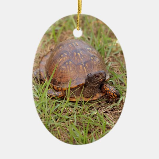 Eastern Box Turtle (North Carolina en Tennessee) Keramisch Ornament (Voorkant)