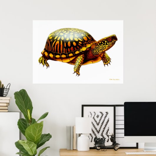 Eastern Box Turtle Print (Thuiskantoor)
