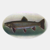 Eastern Brook Trout Painting Ovale Sticker (Voorkant)