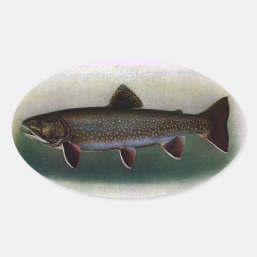 Eastern Brook Trout Painting Ovale Sticker (Voorkant)