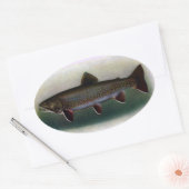 Eastern Brook Trout Painting Ovale Sticker (Envelop)